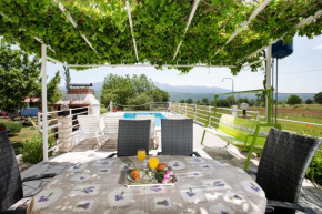Villa with pool near Split